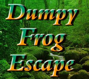 Hiddeno Dumpy Frog Escape