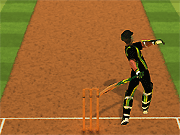 play Cricket Batter Challenge