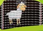 play Sheep Rescue
