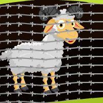 play Theescape Sheep Rescue