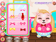 play Baby Hedgehog Salon