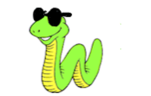 play Blind Snake