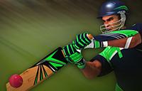 play Cricket Batter Challenge