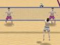 play Summer Sports: Beach Volleyball