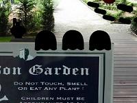 play Poison Garden Escape