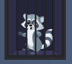 play Theescape Raccoon Escape