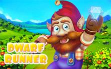 play Dwarf Run