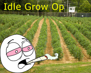 play Idle Grow Op
