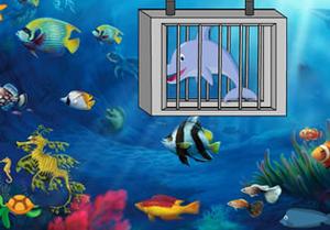 Underwater Dolphin Escape Game