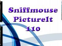 play Sniffmouse Pictureit 110