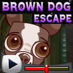 play Brown Dog Escape Game Walkthrough