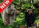 play Bavarian Forest Escape