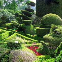 Astonishing-Garden-Escape