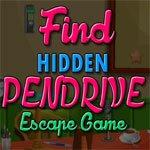 play Meena Find Hidden Pendrive Escape