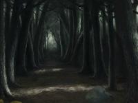play Escape Scary Forest