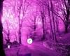 Pink Forest Escape