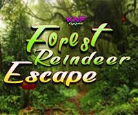 play Forest Reindeer Escape