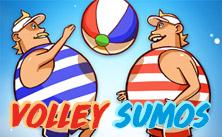 play Volley Summos