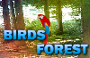 play Escape From Birds Forest