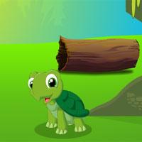 play Fun Tortoise Adventure