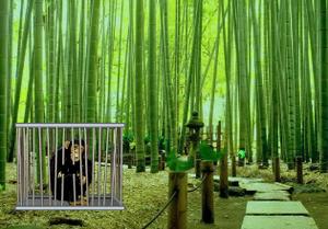 play Bamboo Forest Monkey Escape