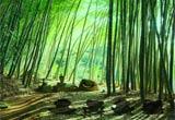 Bamboo Forest Monkey Escape