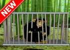 play Bamboo Forest Monkey Escape