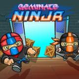 Geminate Ninja