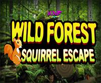 play Wild Forest Squirrel Escape