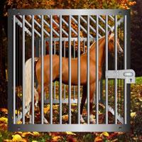 Starving Horse Rescue Escape