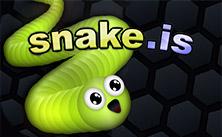 play Snake.Is