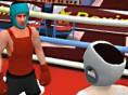 play Summer Sports: Boxing