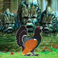 play Capercaillie Bird Escape