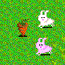 play Bunny Bunny Boom