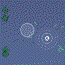 play Ellipsis