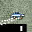 play King Of Greece