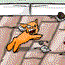 play Kitty Kitty Hi Hi