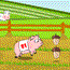 play Pig Race