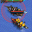 play Pirateers 2