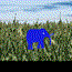 play Run Elephant Run