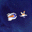 play Star Navigator