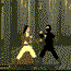 play Ninja Assault