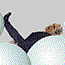 play Bush Ragdoll