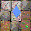 play Geologem