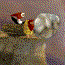 play Stoneage Sam