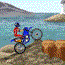 play Fmx Team