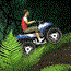 play Jungle Atv