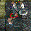 play Danger Dungeon