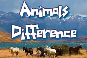 play Animal Differences