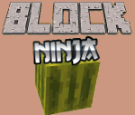 play Minecraft Block Ninja